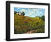 Wildflower Hillside in Boulder County, CO-Patty Baker-Framed Art Print