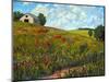 Wildflower Hillside in Boulder County, CO-Patty Baker-Mounted Art Print