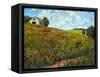 Wildflower Hillside in Boulder County, CO-Patty Baker-Framed Stretched Canvas