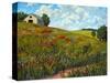 Wildflower Hillside in Boulder County, CO-Patty Baker-Stretched Canvas