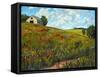 Wildflower Hillside in Boulder County, CO-Patty Baker-Framed Stretched Canvas