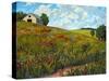 Wildflower Hillside in Boulder County, CO-Patty Baker-Stretched Canvas