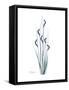 Wildflower Indigo-Albert Koetsier-Framed Stretched Canvas