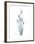 Wildflower Indigo-Albert Koetsier-Framed Premium Giclee Print