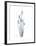 Wildflower Indigo-Albert Koetsier-Framed Premium Giclee Print