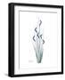 Wildflower Indigo-Albert Koetsier-Framed Premium Giclee Print