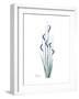 Wildflower Indigo-Albert Koetsier-Framed Premium Giclee Print