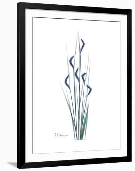 Wildflower Indigo-Albert Koetsier-Framed Premium Giclee Print