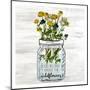 Wildflower Jar 1-Kimberly Allen-Mounted Art Print