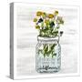 Wildflower Jar 1-Kimberly Allen-Stretched Canvas