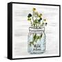 Wildflower Jar 3-Kimberly Allen-Framed Stretched Canvas