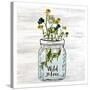 Wildflower Jar 3-Kimberly Allen-Stretched Canvas