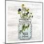 Wildflower Jar 3-Kimberly Allen-Mounted Art Print