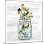 Wildflower Jar 3-Kimberly Allen-Mounted Art Print