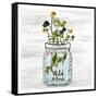 Wildflower Jar 3-Kimberly Allen-Framed Stretched Canvas