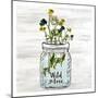 Wildflower Jar 3-Kimberly Allen-Mounted Art Print