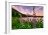 Wildflower Lake, Trillium Lake and Lupine, Mount Hood Wilderness, Oregon-Vincent James-Framed Premium Photographic Print