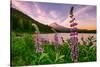 Wildflower Lake, Trillium Lake and Lupine, Mount Hood Wilderness, Oregon-Vincent James-Stretched Canvas