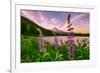 Wildflower Lake, Trillium Lake and Lupine, Mount Hood Wilderness, Oregon-Vincent James-Framed Photographic Print