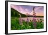 Wildflower Lake, Trillium Lake and Lupine, Mount Hood Wilderness, Oregon-Vincent James-Framed Photographic Print