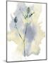 Wildflower Lyrical-Tania Bello-Mounted Giclee Print