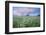 Wildflower Meadow at Dawn, Nemunas Delta, Lithuania, June 2009-Hamblin-Framed Photographic Print