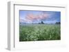 Wildflower Meadow at Dawn, Nemunas Delta, Lithuania, June 2009-Hamblin-Framed Photographic Print