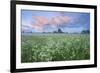 Wildflower Meadow at Dawn, Nemunas Delta, Lithuania, June 2009-Hamblin-Framed Photographic Print