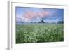 Wildflower Meadow at Dawn, Nemunas Delta, Lithuania, June 2009-Hamblin-Framed Photographic Print