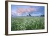 Wildflower Meadow at Dawn, Nemunas Delta, Lithuania, June 2009-Hamblin-Framed Photographic Print