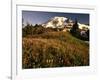 Wildflower Meadow Below Mount Rainier-Stuart Westmorland-Framed Photographic Print