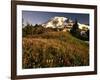 Wildflower Meadow Below Mount Rainier-Stuart Westmorland-Framed Photographic Print