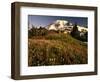 Wildflower Meadow Below Mount Rainier-Stuart Westmorland-Framed Photographic Print