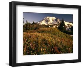Wildflower Meadow Below Mount Rainier-Stuart Westmorland-Framed Photographic Print
