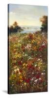 Wildflower Meadow I-Arcobaleno-Stretched Canvas
