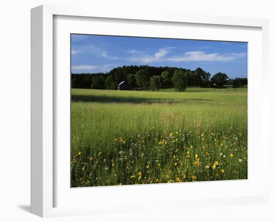 Wildflower meadow, Montgomery County, Missouri, USA-Charles Gurche-Framed Premium Photographic Print