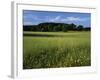 Wildflower meadow, Montgomery County, Missouri, USA-Charles Gurche-Framed Photographic Print
