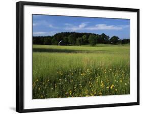 Wildflower meadow, Montgomery County, Missouri, USA-Charles Gurche-Framed Photographic Print