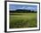 Wildflower meadow, Montgomery County, Missouri, USA-Charles Gurche-Framed Photographic Print