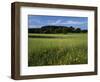 Wildflower meadow, Montgomery County, Missouri, USA-Charles Gurche-Framed Photographic Print