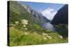 Wildflower Meadow Overlooking Naeroyfjorden, Sogn Og Fjordane, UNESCO World Heritage Site, Norway-Gary Cook-Stretched Canvas