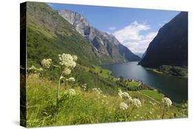 Wildflower Meadow Overlooking Naeroyfjorden, Sogn Og Fjordane, UNESCO World Heritage Site, Norway-Gary Cook-Stretched Canvas