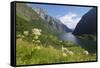 Wildflower Meadow Overlooking Naeroyfjorden, Sogn Og Fjordane, UNESCO World Heritage Site, Norway-Gary Cook-Framed Stretched Canvas