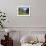 Wildflower Meadow Overlooking Naeroyfjorden, Sogn Og Fjordane, UNESCO World Heritage Site, Norway-Gary Cook-Framed Photographic Print displayed on a wall