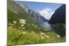 Wildflower Meadow Overlooking Naeroyfjorden, Sogn Og Fjordane, UNESCO World Heritage Site, Norway-Gary Cook-Mounted Photographic Print