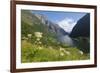 Wildflower Meadow Overlooking Naeroyfjorden, Sogn Og Fjordane, UNESCO World Heritage Site, Norway-Gary Cook-Framed Photographic Print