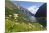 Wildflower Meadow Overlooking Naeroyfjorden, Sogn Og Fjordane, UNESCO World Heritage Site, Norway-Gary Cook-Mounted Photographic Print