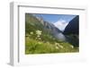 Wildflower Meadow Overlooking Naeroyfjorden, Sogn Og Fjordane, UNESCO World Heritage Site, Norway-Gary Cook-Framed Photographic Print