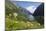 Wildflower Meadow Overlooking Naeroyfjorden, Sogn Og Fjordane, UNESCO World Heritage Site, Norway-Gary Cook-Mounted Photographic Print