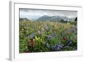 Wildflower Meadow-Bob Gibbons-Framed Premium Photographic Print